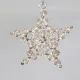 Star - Earrings Ara - 2